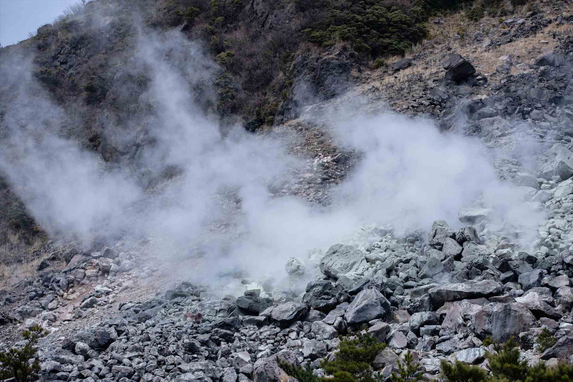 第4スライド　薬用入浴剤 湯躍　医薬部外品｜いのち湧く 入浴剤メーカー ヤングビーナス 薬品工業株式会社 公式ホームページ